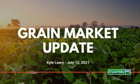Grain Update